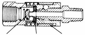 Coupler and plug connected together