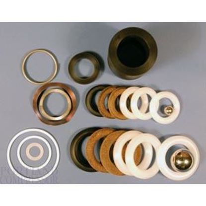 Picture of Repair Kit, Fluid Section 21S